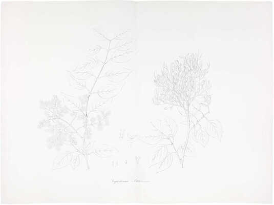 [Полный комплект]. Маак Р. Путешествие на Амур, совершенное по распоряжению Сибирского отдела Императорского Русского географического общества, в 1855 году, Р. Мааком. Один том, с портретом графа Муравьева-Амурского и с отдельным собранием рисунков, карт и планов. СПб., 1859.